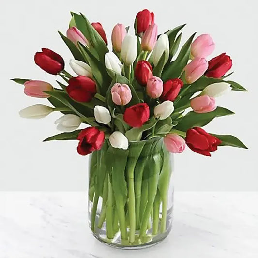 Tulips Love