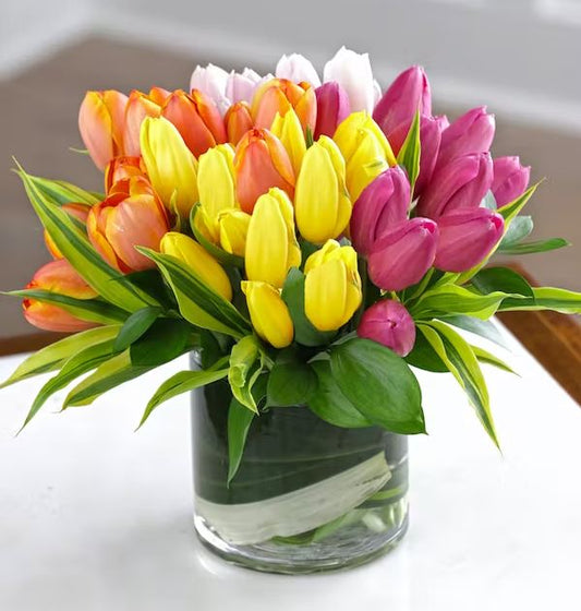 Dazzling Tulips