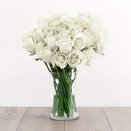 24 White Roses