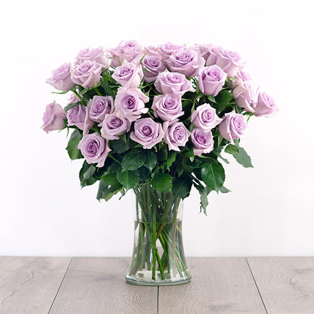 24 Purple Roses