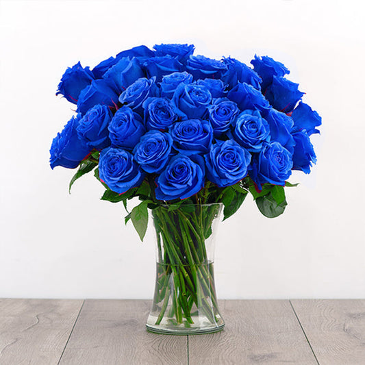 24 Blue Roses