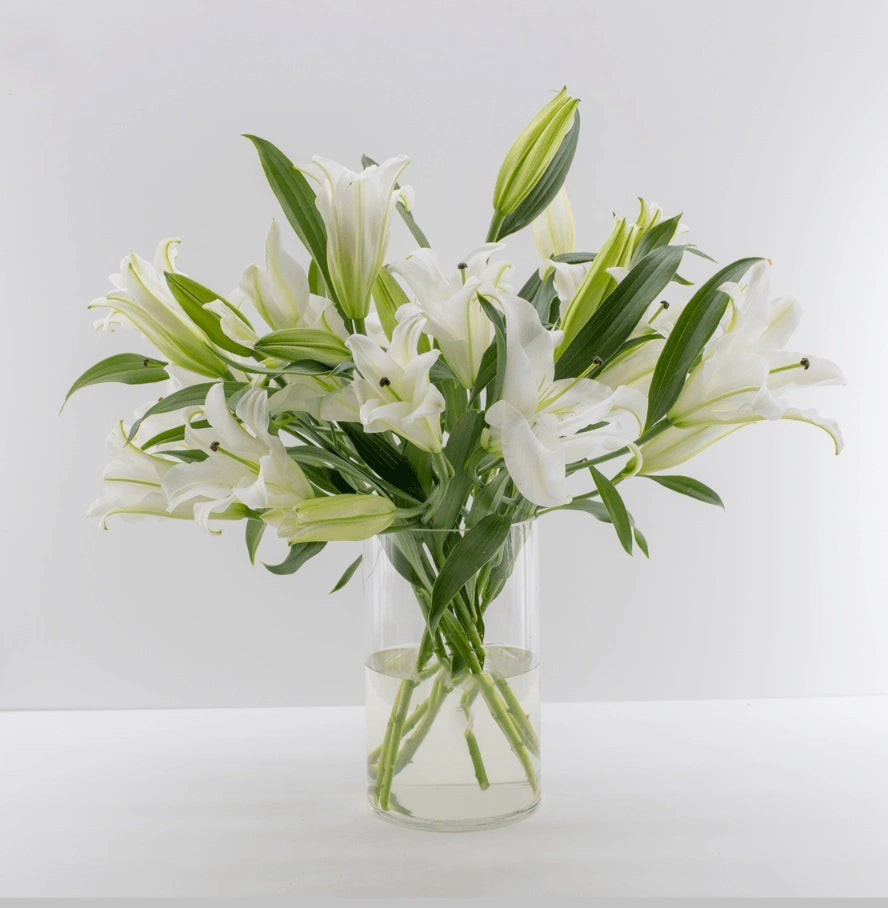 Lilies in White