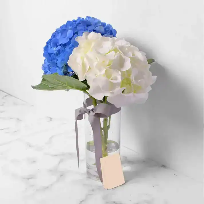 Hydrangea Skies Hydrangea Skies