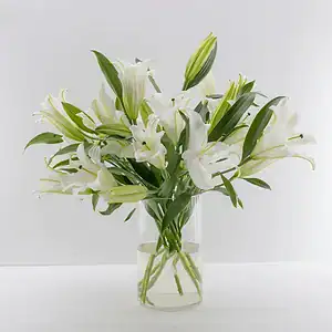 Lilies in White