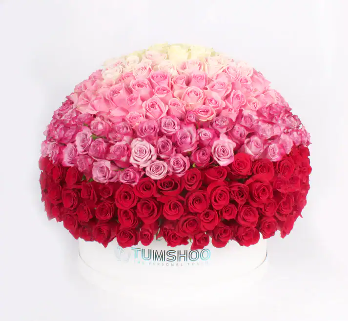 A Beautiful Box arrangement with 301 Assorted Roses, arranged in a Round Box. NOTE: Some fillers are seasonal, hence our florist will provide the arrangement with the best fillers available.