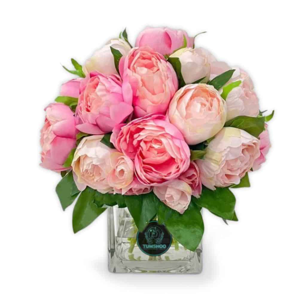 Peony wonder Peony wonder