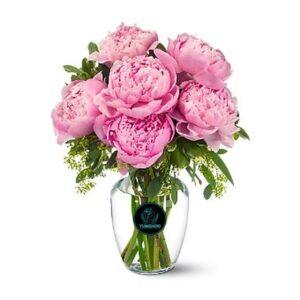 Sweet Pink Peonies