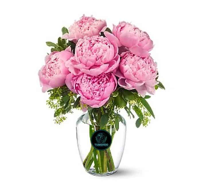 Sweet Pink Peonies