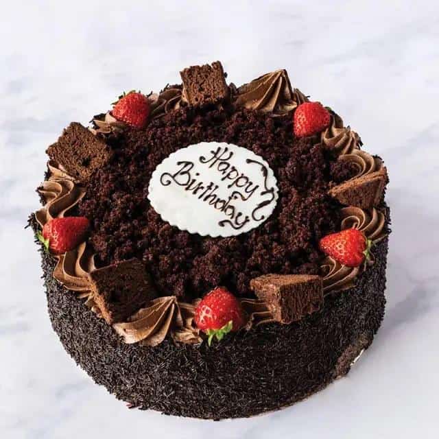 chocolate-sponge-cake-4-portion_1