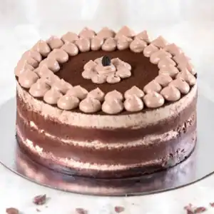 chocolate-tiramisu-cake-4-portion_1
