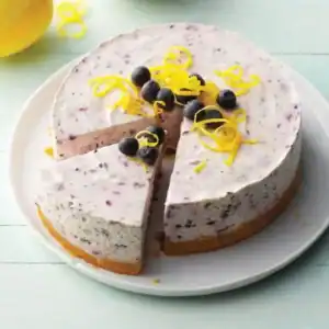 elegant-blueberry-cheesecake-4-portion_1