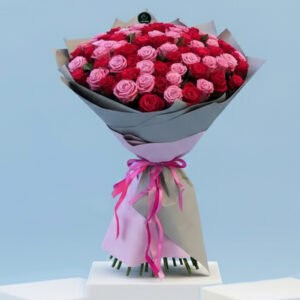 101 Roses Pink Red Mystic